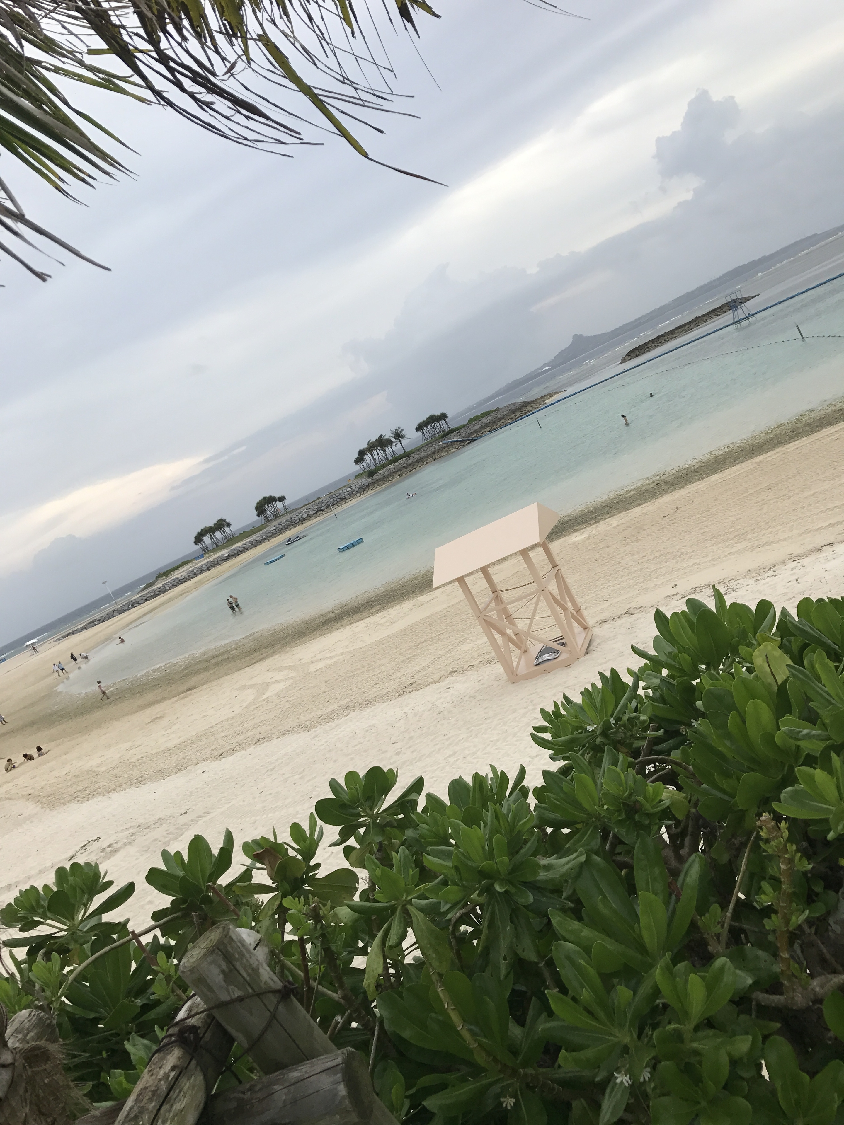 海