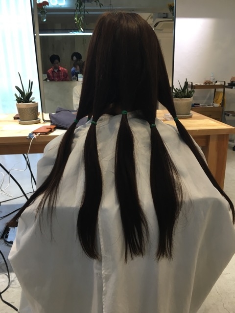 ヘアドネーション1