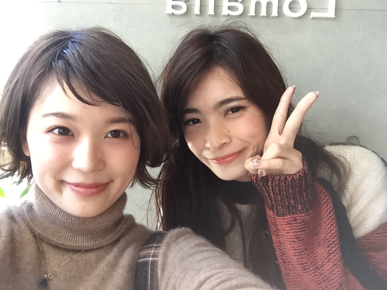 さくどり、
